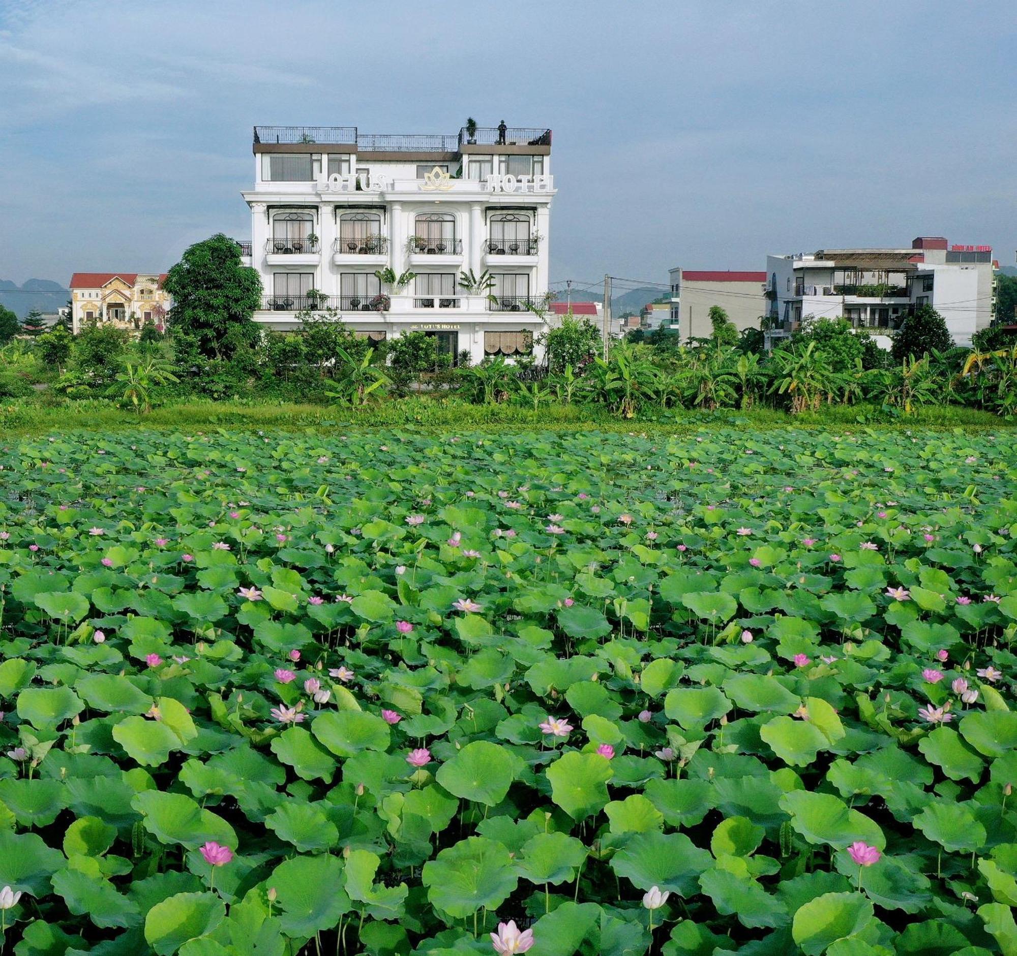 Lotus Hotel Ніньбінь Екстер'єр фото